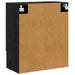 Dulap de perete Stejar Negru 60 x 31 x 70 cm Lemn compozit - WALTI WALTI