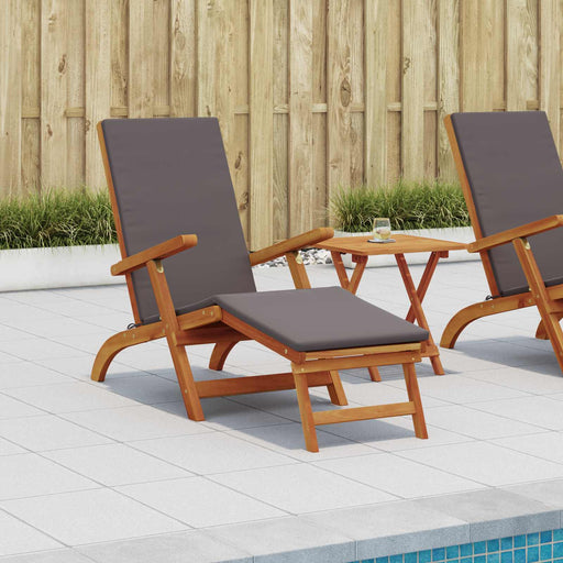 Șezlong pliabil și culisant 2 pcs Gri închis - WALTI WALTI