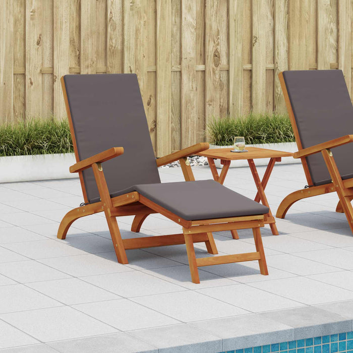 Șezlong pliabil și culisant 2 pcs Gri închis - WALTI WALTI