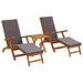 Șezlong pliabil și culisant 3 pcs Gri închis - WALTI WALTI