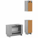 Set de cabinet pentru baie cu 3 piese EDE Sonoma gri - WALTI WALTI