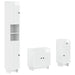 Set de cabinet pentru baie cu 3 piese EDE Lemn prelucrat - WALTI WALTI