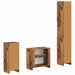 Set de cabinet pentru baie cu 3 piese UTRECHT Lemn prelucrat - WALTI WALTI