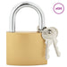 U Lock cu Chei 100 pcs Alamă Fier - WALTI WALTI