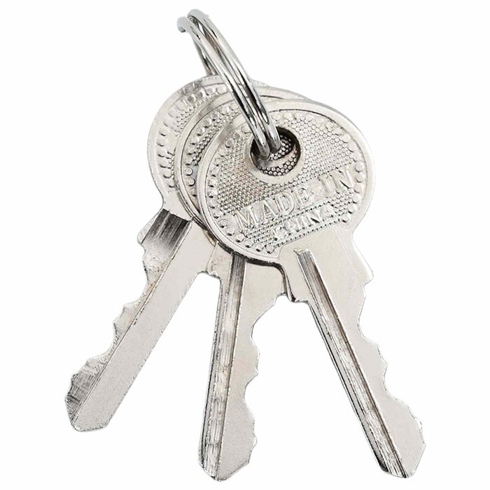 U Lock cu Chei 100 pcs Alamă Fier - WALTI WALTI
