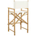 Scaun pliabil pentru directori 2 pcs natural 58 x 48 x 115 cm - WALTI WALTI