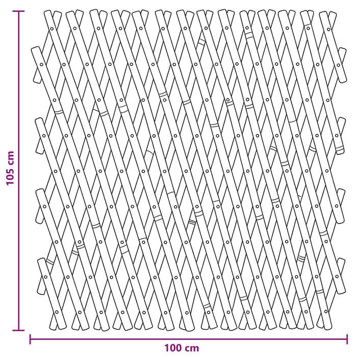 Gard trelis extensibil 2 pcs Maro deschis 100 x 105 cm Bambus - WALTI WALTI