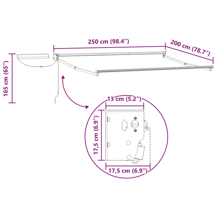 Cadru copertină retractabil electric Alb 2,5 x 2 m Oțel - WALTI WALTI