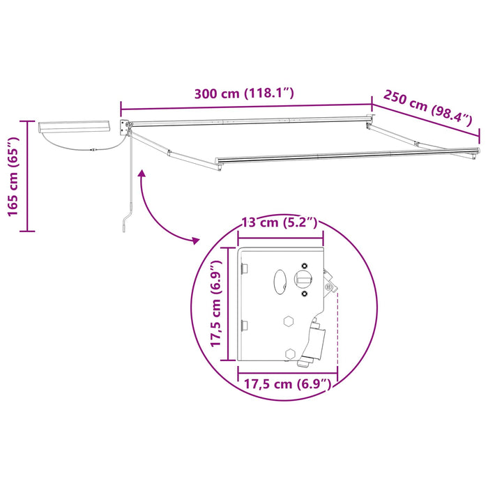 Cadru copertină retractabil electric Alb 3 x 2,5 m Oțel - WALTI WALTI