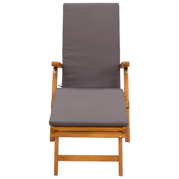 Șezlong pliabil și culisant 55 x 146 x 91 cm WALTI