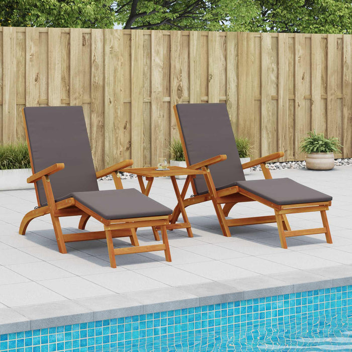 Șezlong pliabil și culisant 2 pcs Gri 55 x 146 x 91 cm WALTI