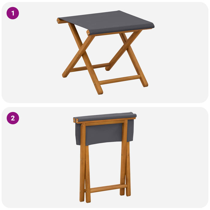 Scaun de plajă 2 pcs Lemn de eucalipt masiv Gri WALTI
