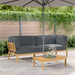 Set de canapea cu pernă 2 pcs Antracit Lemn Solid de Acacia - WALTI WALTI