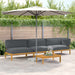 Set de canapea cu pernă 4 pcs Antracit Lemn Solid de Acacia - WALTI WALTI