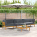 Set de canapea cu pernă 4 pcs Antracit Lemn Solid de Acacia - WALTI WALTI