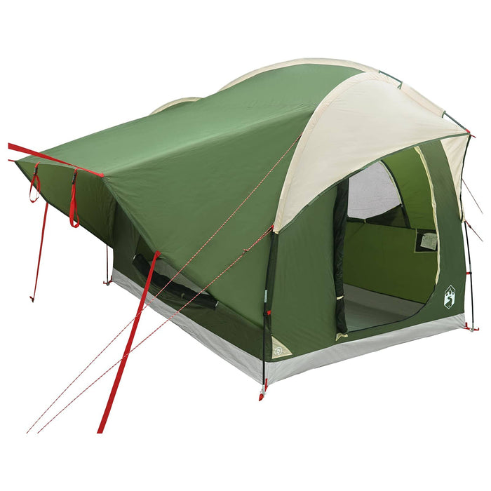 Cort pentru mașină Verde 239 x 210 x 210 cm Poliester și oțel WALTI
