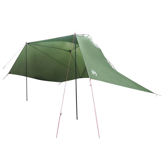 Cort pentru mașină Verde 350 x 250 cm Poliester și oțel WALTI