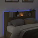 Cadran cu LED Sonoma 160 x 16,5 x 103,5 cm Lemn compozit - WALTI WALTI