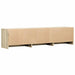 Cabinet TV cu led Sonoma 165 x 34 x 40 cm Lemn compozit - WALTI WALTI