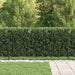 Gard cu țărușe Negru 200 x 130 cm Oțel vopsit electrostatic - WALTI WALTI