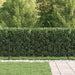 Gard cu țărușe Negru 200 x 130 cm Oțel vopsit electrostatic - WALTI WALTI