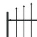 Gard cu țărușe Negru 200 x 200 cm Oțel vopsit electrostatic - WALTI WALTI