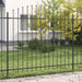 Gard cu țărușe Negru 200 x 200 cm Oțel vopsit electrostatic - WALTI WALTI