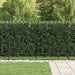 Zăbrele in Formă de Inel Negru 200 x 130 cm - WALTI WALTI