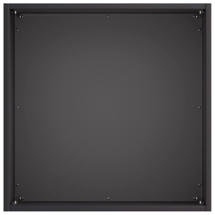 Vază pentru Grădină Negru 45 x 45 x 45 cm Oțel laminat la rece WALTI