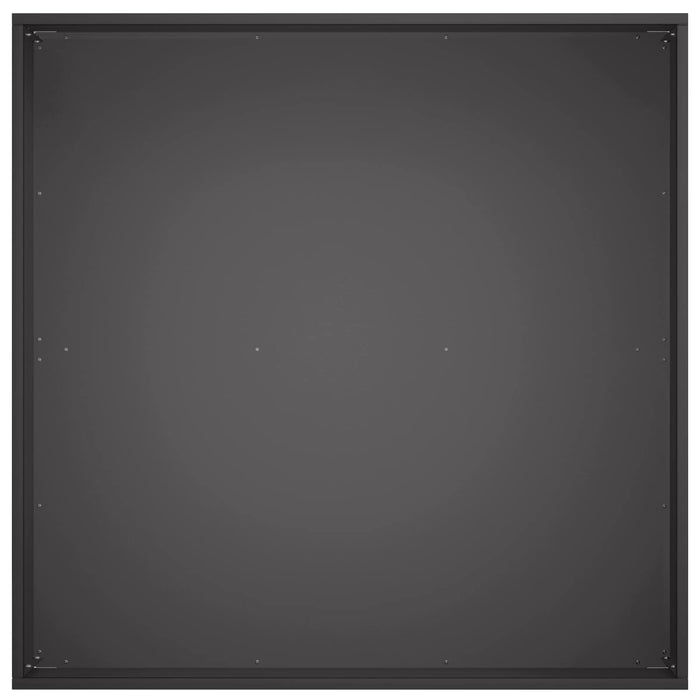 Vază pentru Grădină Negru 60 x 60 x 20 cm Oțel laminat la rece WALTI