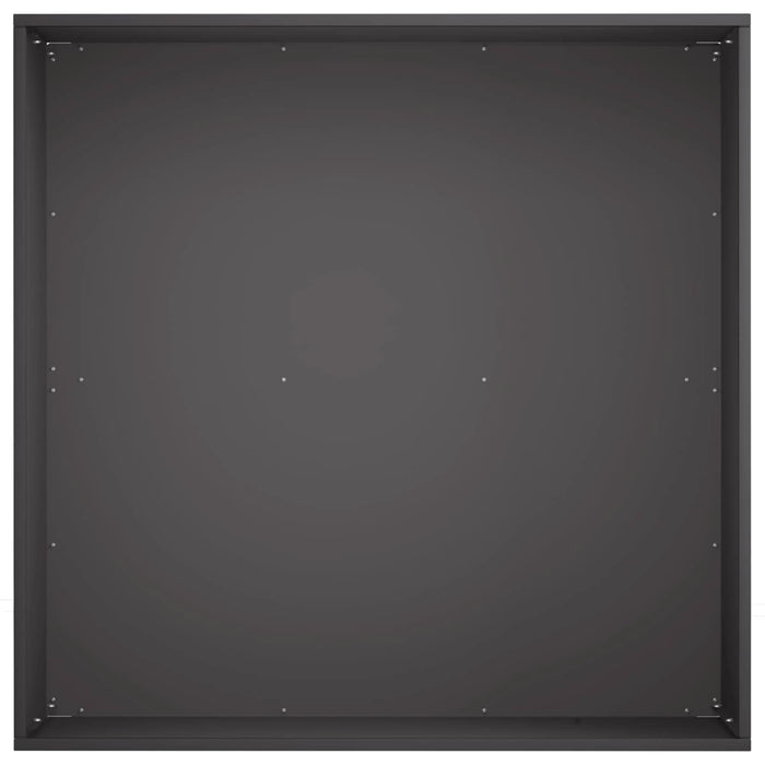 Vază pentru Grădină Negru 40 x 40 x 30 cm Oțel laminat la rece WALTI