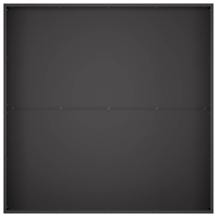 Vază pentru Grădină 2 buc. Negru 100 x 100 x 30 cm WALTI