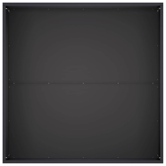 Vază pentru Grădină 2 buc. Negru 60 x 60 x 40 cm WALTI
