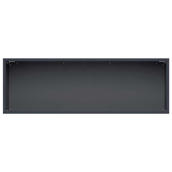 Vază pentru Grădină 2 buc. Antracit 40 x 20 x 20 cm WALTI