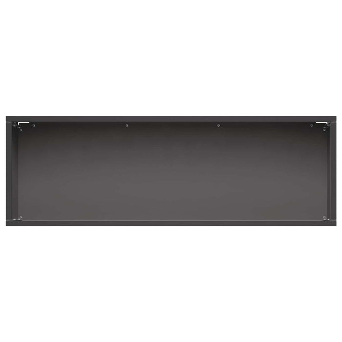 Vază pentru Grădină Negru 60 x 20 x 20 cm Oțel laminat la rece - WALTI WALTI
