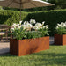 Vază pentru Grădină Ruginit 60 x 20 x 20 cm - WALTI WALTI