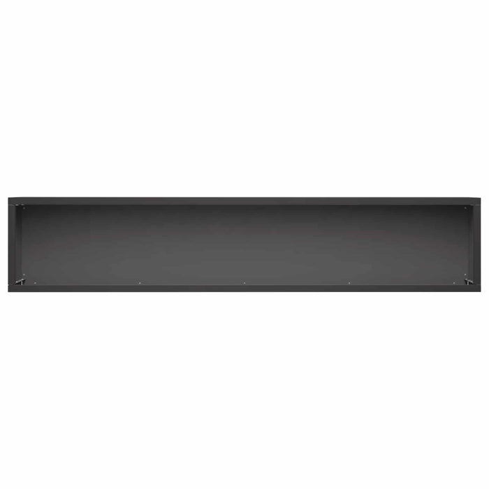 Vază pentru Grădină 2 buc. Negru 100 x 20 x 20 cm WALTI