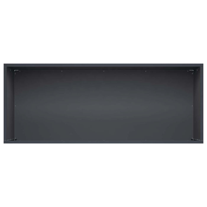 Vază pentru Grădină 2 buc. Antracit 100 x 40 x 40 cm WALTI