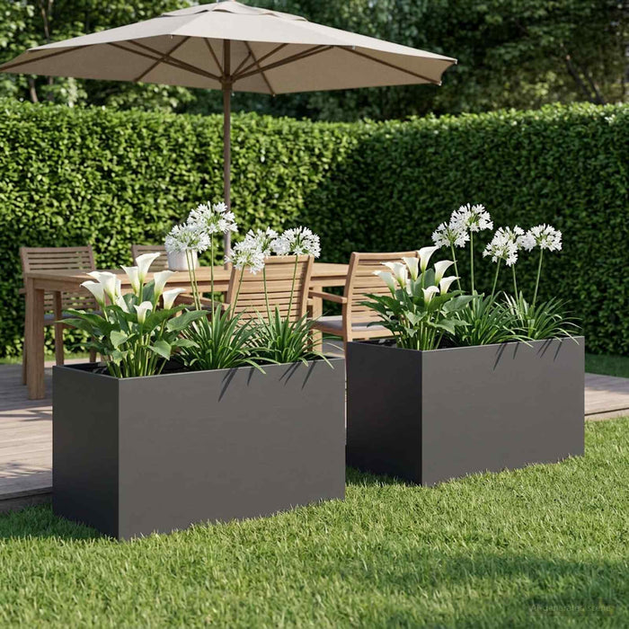 Vază pentru Grădină 2 buc. Negru 100 x 50 x 50 cm WALTI