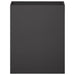 Vază pentru Grădină Negru 40 x 20 x 50 cm Oțel laminat la rece - WALTI WALTI