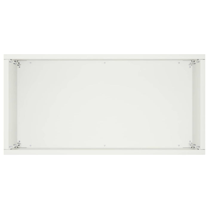 Vază pentru Grădină Alb 40 x 20 x 50 cm Oțel laminat la rece - WALTI WALTI