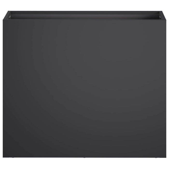 Vază pentru Grădină 2 buc. Negru 50 x 20 x 40 cm WALTI