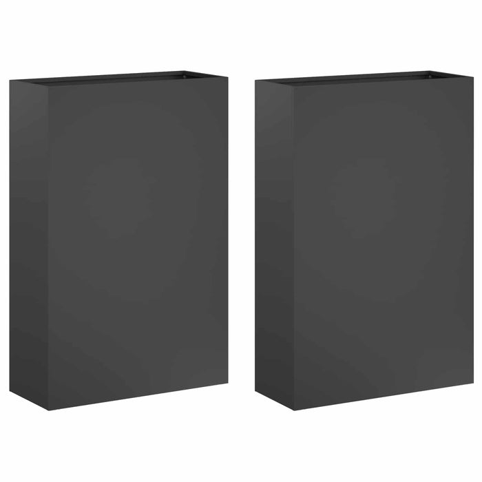 Vază pentru Grădină 2 buc. Antracit 50 x 20 x 75 cm WALTI