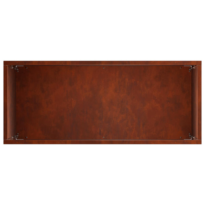 Vază pentru Grădină Ruginit 50 x 20 x 75 cm WALTI