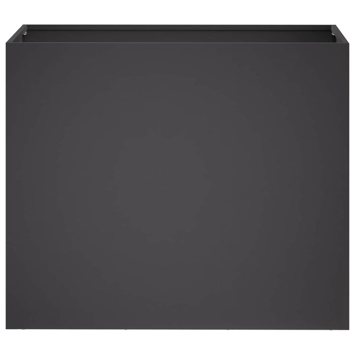 Vază pentru Grădină 2 buc. Negru 60 x 30 x 40 cm - WALTI WALTI