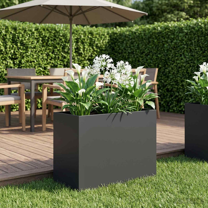 Vază pentru Grădină Negru 60 x 30 x 50 cm Oțel laminat la rece - WALTI WALTI