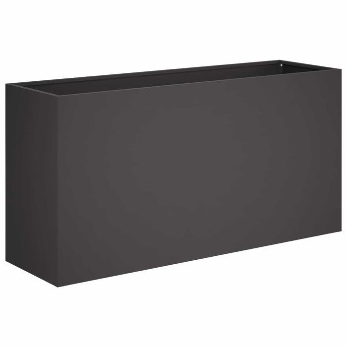 Vază pentru Grădină Negru 100 x 30 x 40 cm Oțel laminat la rece WALTI