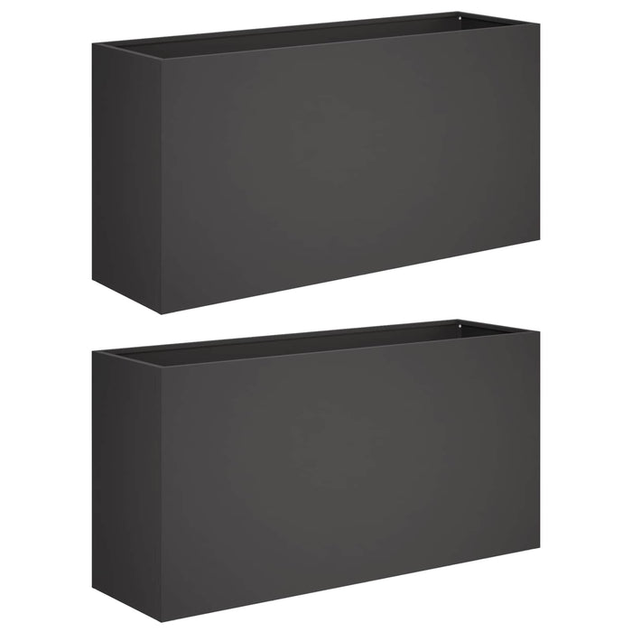 Vază pentru Grădină 2 buc. Negru 100 x 30 x 40 cm WALTI