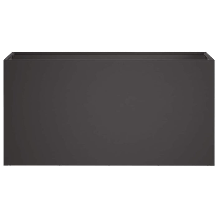 Vază pentru Grădină 2 buc. Negru 100 x 30 x 40 cm WALTI