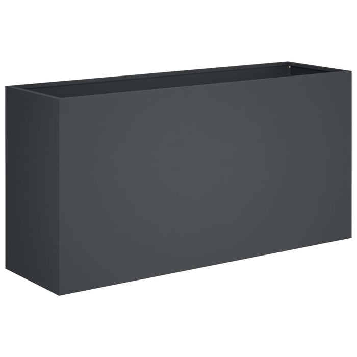 Vază pentru Grădină Antracit 100 x 30 x 40 cm WALTI